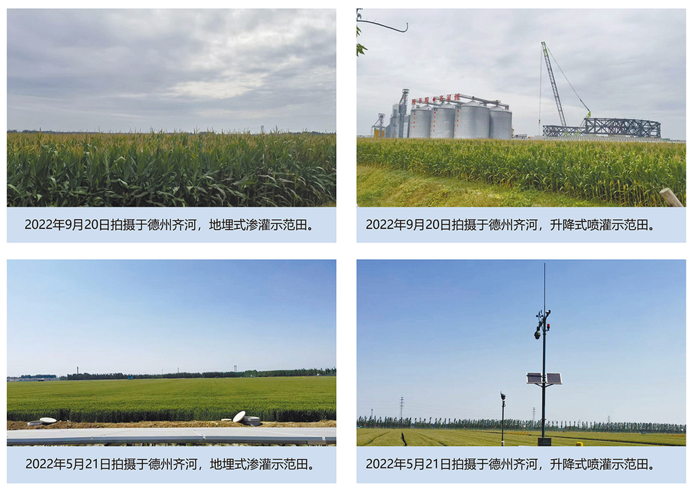16-17工程实例-大田作物类.jpg